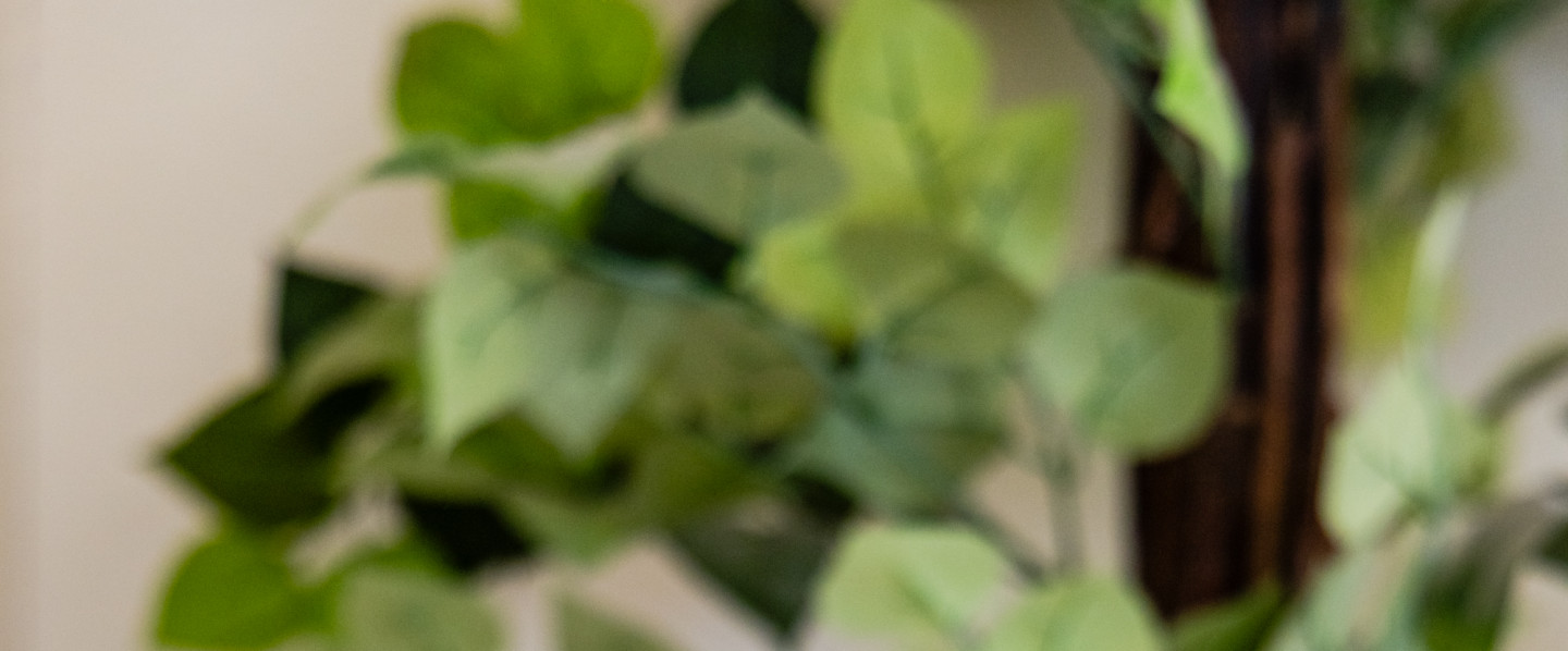 chiropractor basalt co